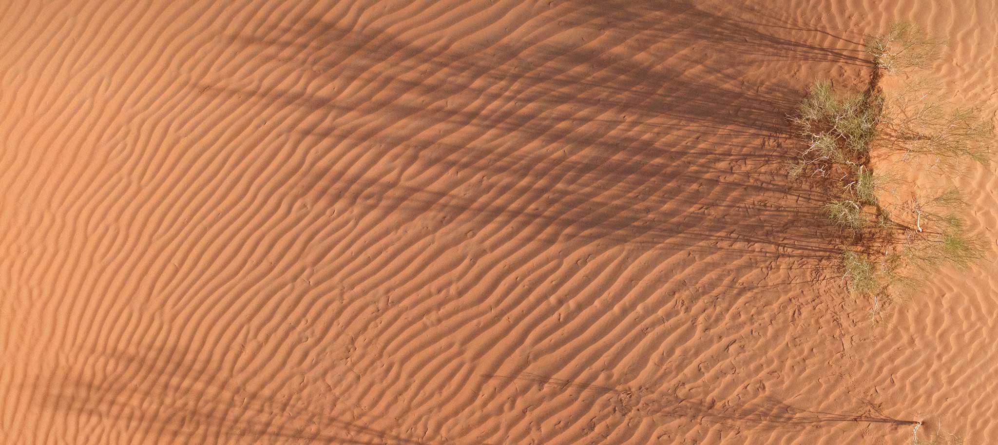 Desert sand