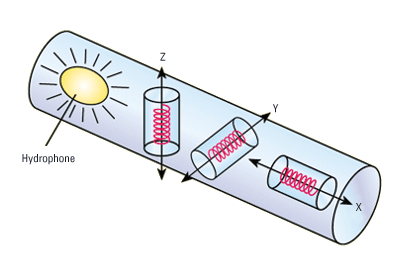 Four-component seismic sensor.