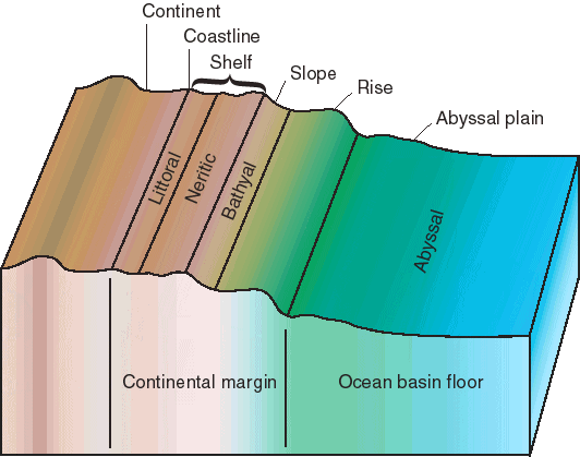 Profile of continental margin to abyss