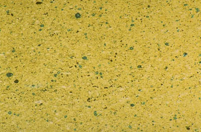 Photomicrograph of clay-rich rock