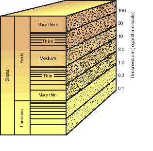 Relative thicknesses of laminations, beds and strata