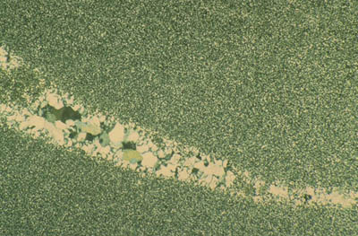 Photomicrograph of chert