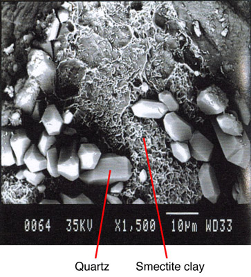 SEM of authigenic quartz and smectite