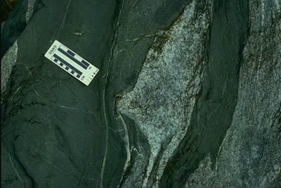 Lithologic contact of dike and gneiss