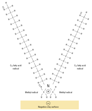 Diagram of quaternary amine